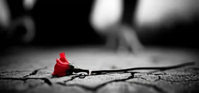 Illustration killing - Image 1