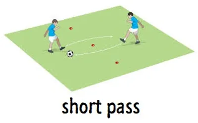 Illustration short - Image 3