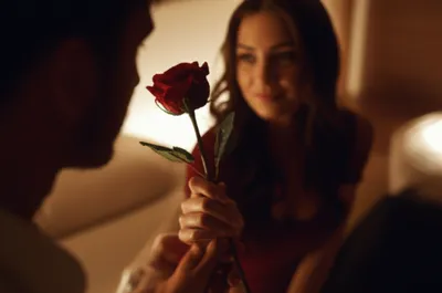 Illustration propositions - Image 1