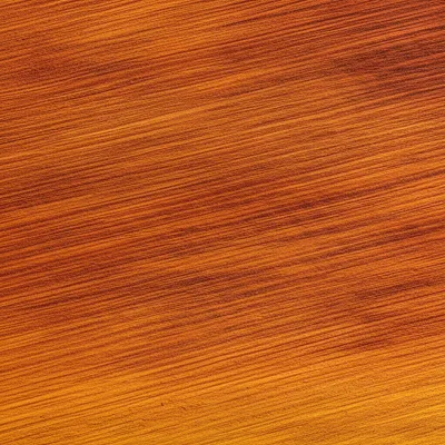 Illustration cedar - Image 1