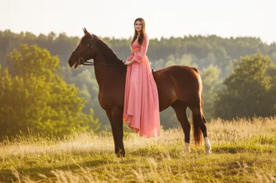 Illustration sidesaddle - Image 1