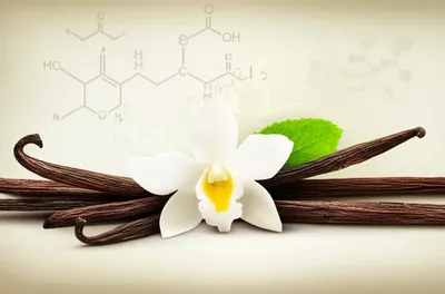 Illustration vanillin - Image 1