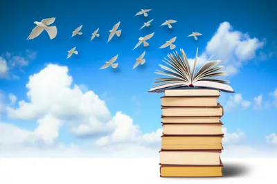 Illustration books - Image 1