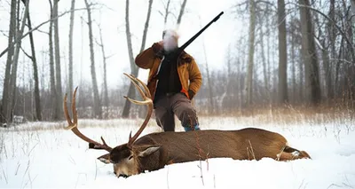 Illustration bagged - Image 1