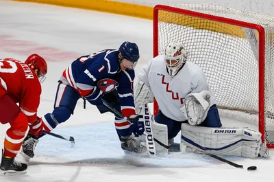 Illustration defenceman