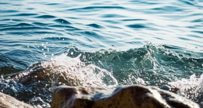 Illustration lapping - Image 1