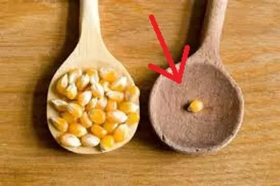 Illustration minor - Image 3