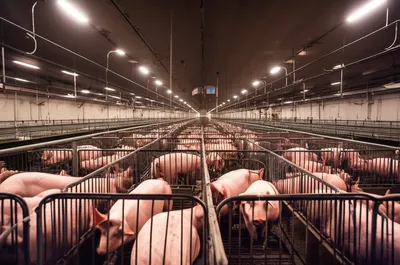 Illustration factories - Image 1