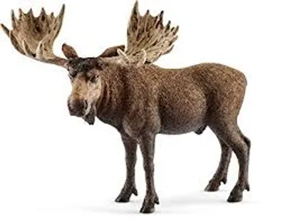 Illustration moose - Image 2