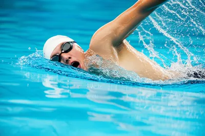 Illustration swam - Image 1