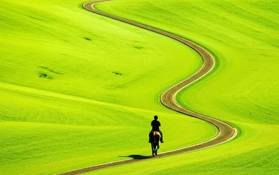 Illustration ride - Image 1