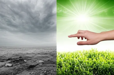 Illustration should - Image 1