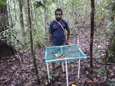 Illustration trap - Image 3