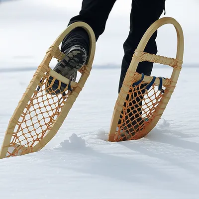 Illustration rackets - Image 1