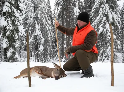 Illustration peg - Image 1