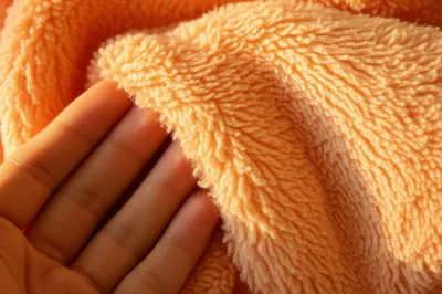 Hình ảnh minh họa napped - Ảnh 1