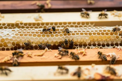 Illustration turnarounds - Image 1