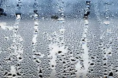 Illustration humid - Image 2