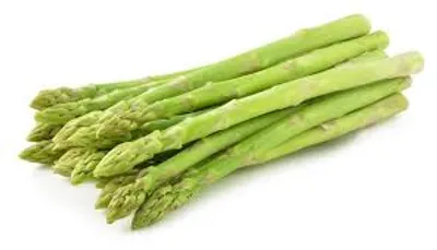 Illustration spear - Image 2