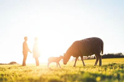 Illustration sprung - Image 1