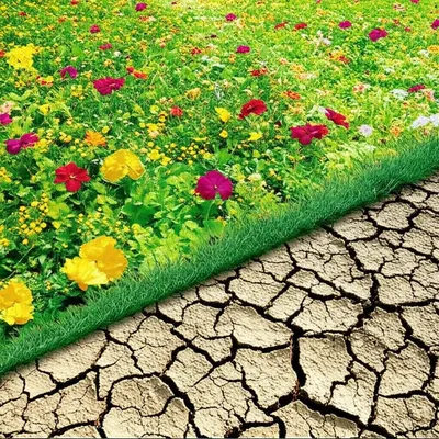 Illustration outside - Image 1