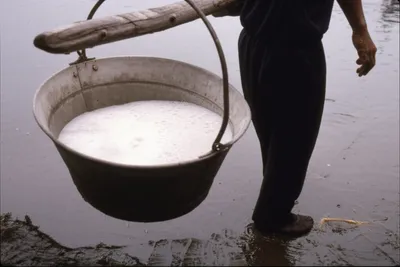 Illustration cowl - Image 1