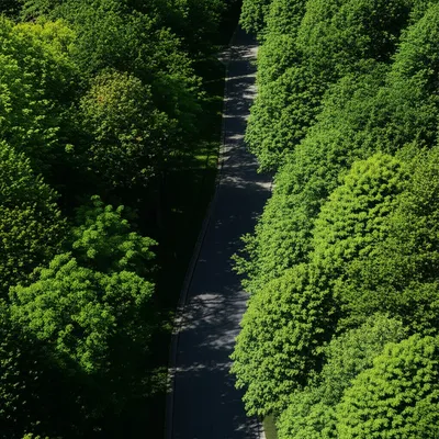 Illustration labyrinthine