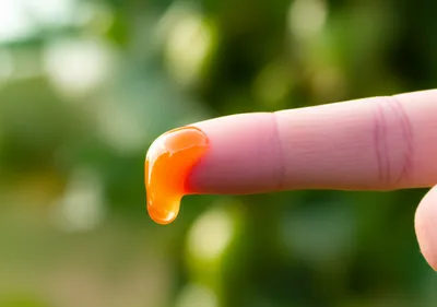 Illustration tastes - Image 1