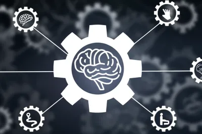 Illustration professional - Image 1