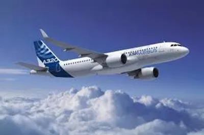 Illustration fly - Image 4