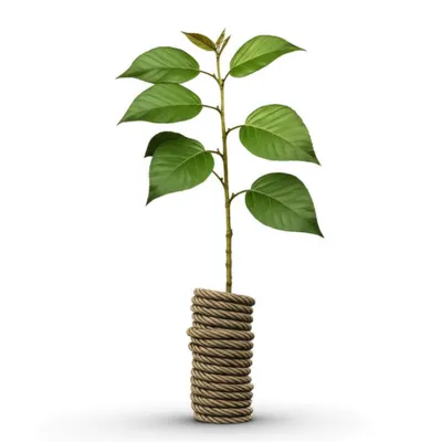 Illustration cramp - Image 1