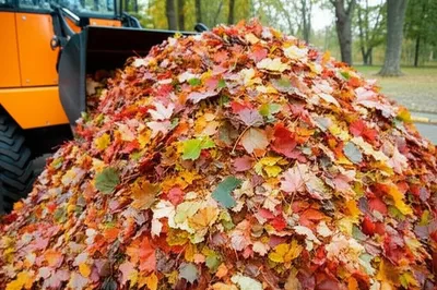 Illustration bulldoze - Image 1