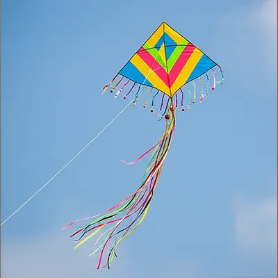 Illustration appendixes - Image 1