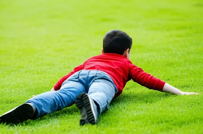 Illustration crawled - Image 1