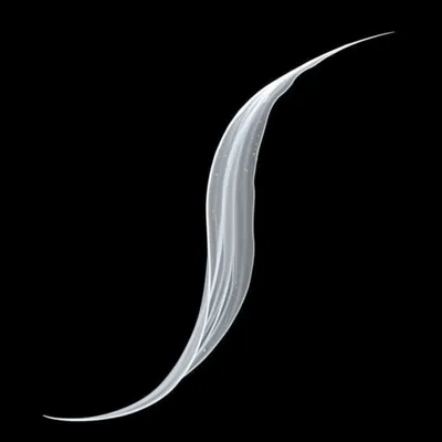 Illustration rope - Image 1