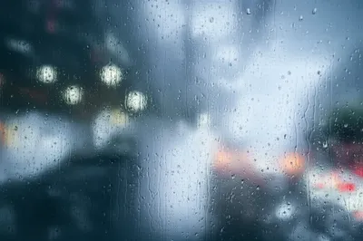 Illustration patter - Image 1