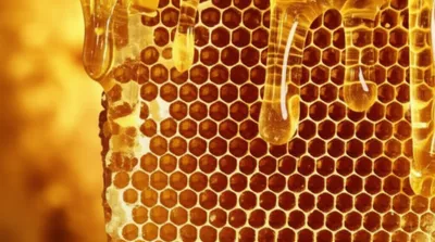 Illustration dripping - Image 1