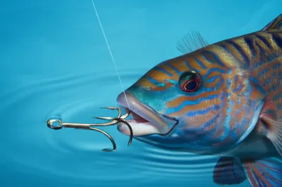 Illustration hooks - Image 1