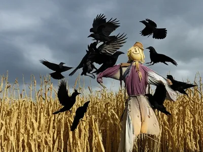 Illustration solicits - Image 1