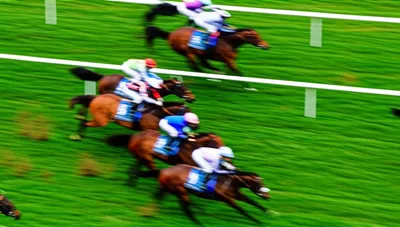 Illustration turf - Image 1