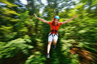 Illustration zips - Image 1