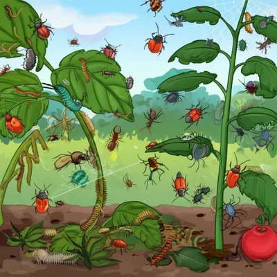 Illustration bogs - Image 1