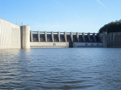 Hình ảnh minh họa forestall