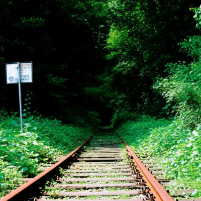 Illustration abandonment - Image 1