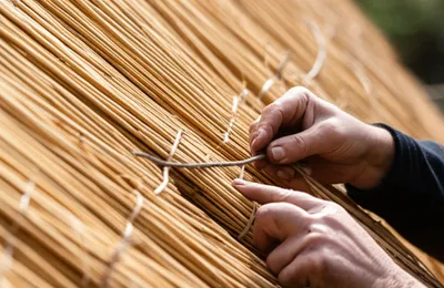 Illustration sway - Image 1