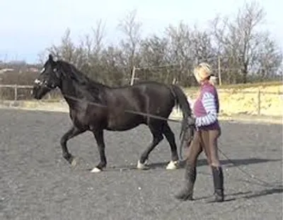 Illustration lunge - Image 2