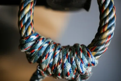 Illustration grafting - Image 1