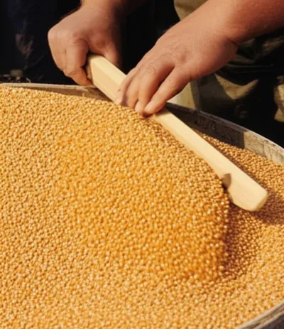 Illustration strickle - Image 1