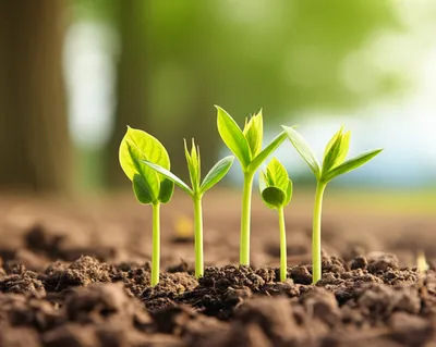 Illustration green - Image 1