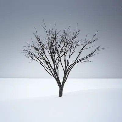 Illustration minuses - Image 1